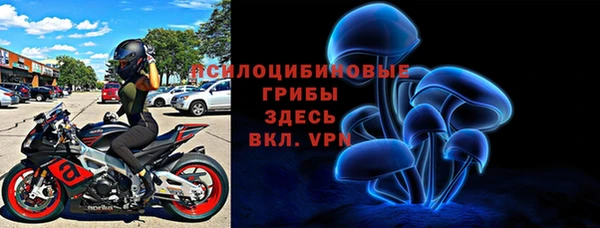 герыч Алексин
